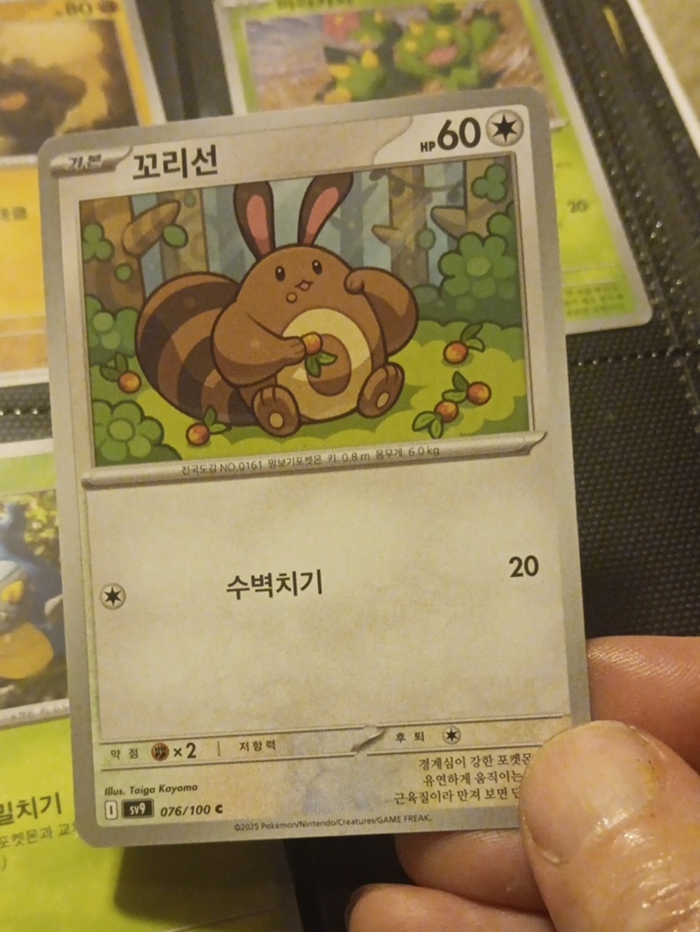 Pokemon Brown and Green Bidoof Korean Trading Card